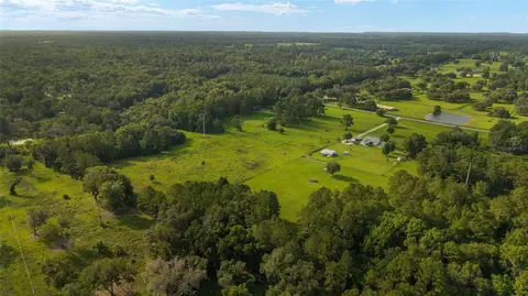 15015 NW 185th St, Williston, FL 32696 photo 5
