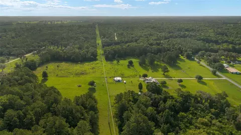 15015 NW 185th St, Williston, FL 32696 photo 4