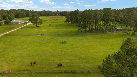 15015 NW 185th St, Williston, FL 32696 photo 23