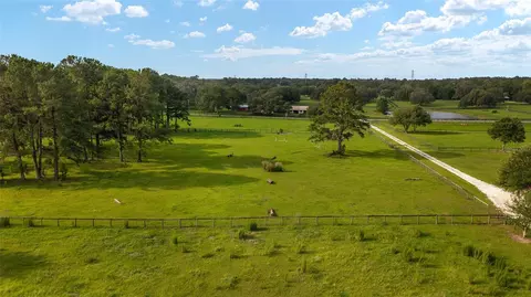 15015 NW 185th St, Williston, FL 32696 photo 8