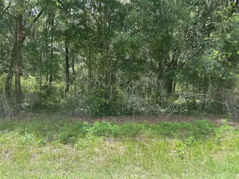 SW 111 Lane, Dunnellon, FL 34432