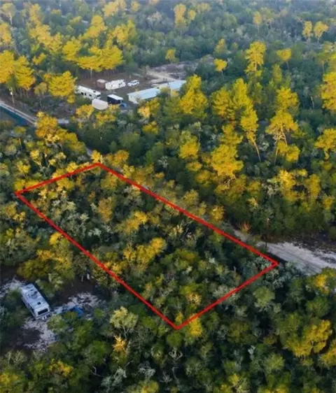 tbd NE 234 Pl, Fort Mc Coy, FL 32134