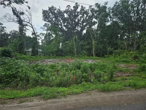 tbd NW 65th Pl, Ocala, FL 34482