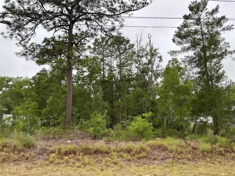Fisher Lane Terrace, Ocklawaha, FL 32179