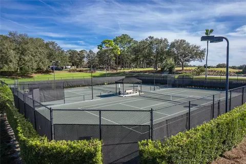 View/Area - 1148 W Diamond Shore Loop, Hernando, FL 34442 photo 16 of 27