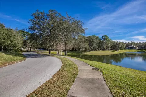 Other - 1148 W Diamond Shore Loop, Hernando, FL 34442 photo 19 of 20