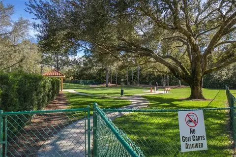 View/Area - 1148 W Diamond Shore Loop, Hernando, FL 34442 photo 18 of 27