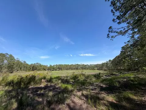 tbd NE 114 Ave Rd, Fort Mc Coy, FL 32134