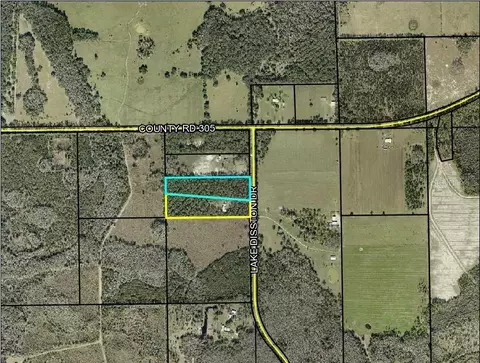 160 Lake Disston Dr, Bunnell, FL 32110