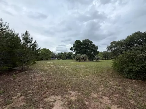tbd NE 137th Ter, Williston, FL 32696 photo 5