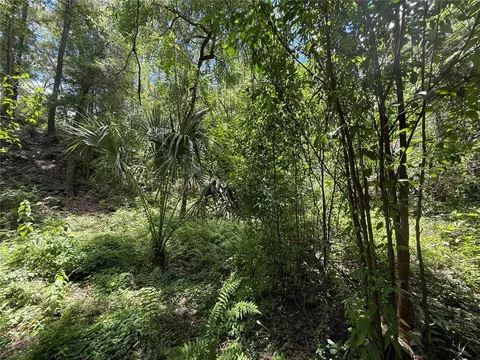 Sw 53rd Pl, Ocala, FL 34481 photo 10