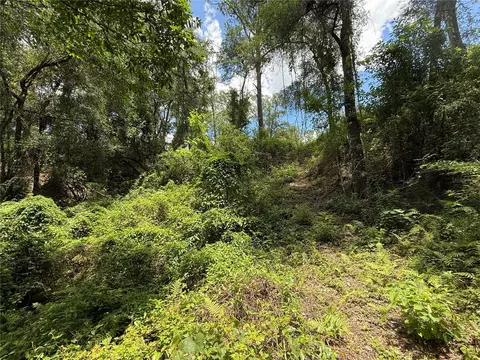 Sw 53rd Pl, Ocala, FL 34481 photo 5