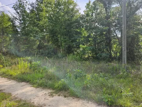 tbd NE 153rd Ave, Williston, FL 32696