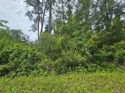 320 Sequoia Dr, Ocala, FL 34472