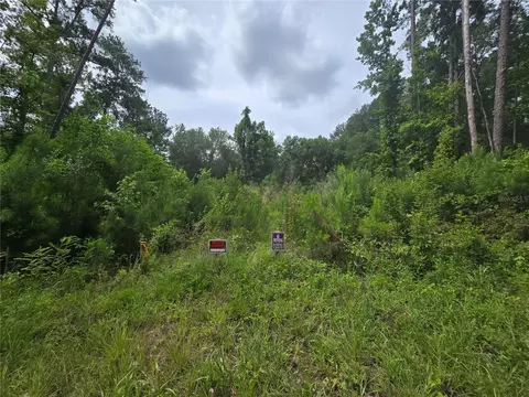 316 Sequoia Dr, Ocklawaha, FL 32179