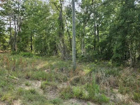 tbd NE 153rd Ave, Williston, FL 32696