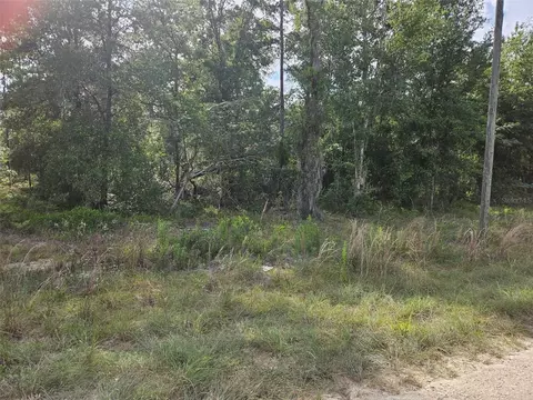 tbd NE 153rd Ave, Williston, FL 32696 photo 2