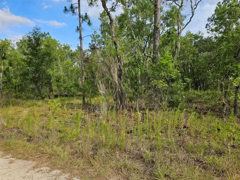 tbd NE 12th Ln, Williston, FL 32696