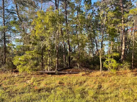 0 SW 157th St, Ocala, FL 34473 photo 4