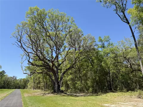 Irvine Acres #5 W Hwy 318, Reddick, FL 32686