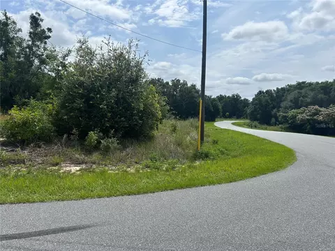 tbd Larch Course Ter, Ocala, FL 34480