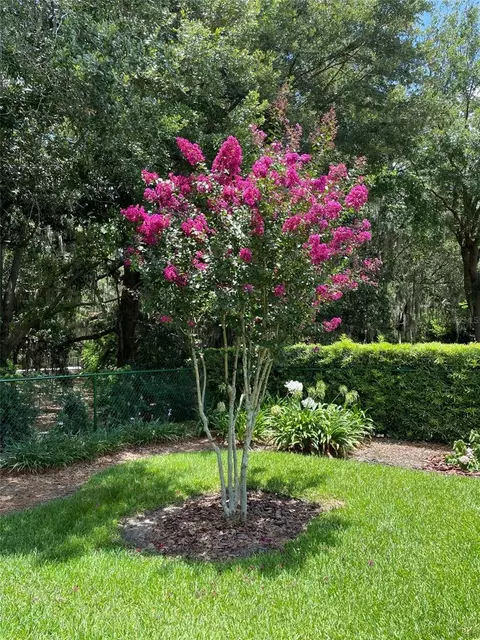 Exterior - 7981 SW 81st Loop, Ocala, FL 34476 photo 5 of 7