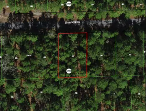 910 W Bannister Dr, Citrus Springs, FL 34434