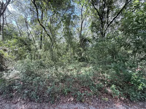 tbd SW 150th St, Dunnellon, FL 34432