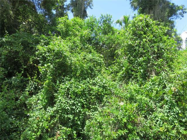 00 SE 142 Pl, Summerfield, FL 34491