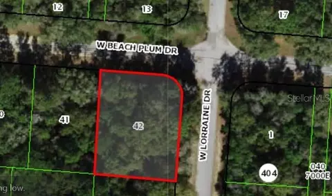 1920 W Beach Plum Dr, Citrus Springs, FL 34434