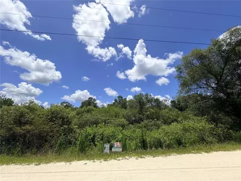 lot10 Hardstone Dr, Webster, FL 33597