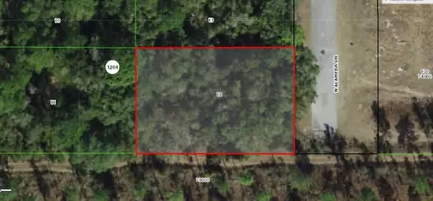 8000 N Alameda Dr, Dunnellon, FL 34434