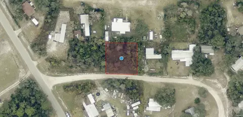 tbd Palmetto Cir, Paisley, FL 32767