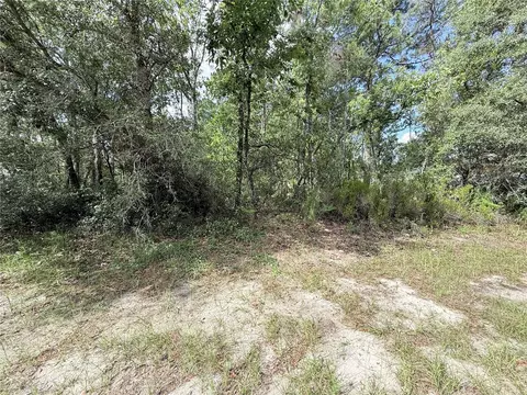 tbd SW 65th Avenue Rd, Ocala, FL 34473