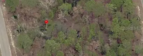 23 Fisher Lane Ter, Ocklawaha, FL 32179