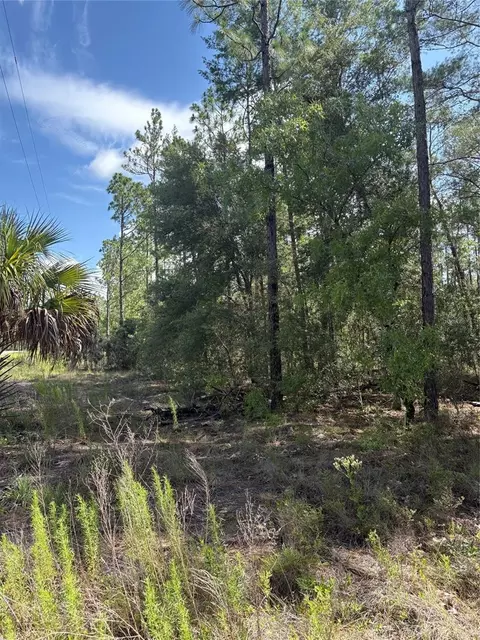 Tba Redwing Road, Dunnellon, FL 34431