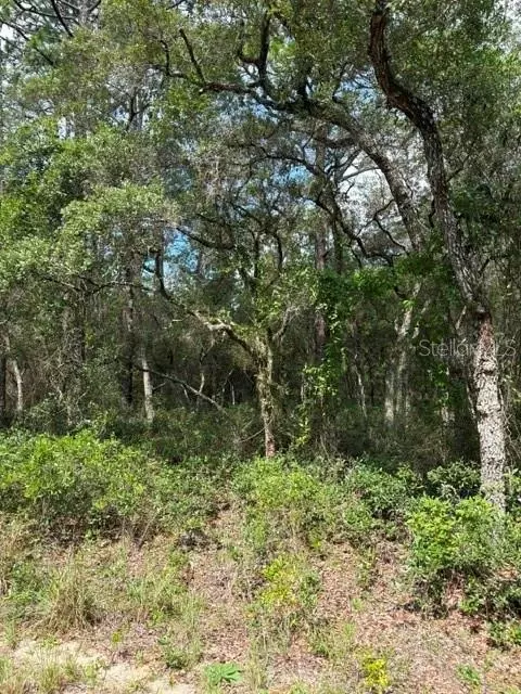 Tba SW Winding Hills Road, Dunnellon, FL 34431