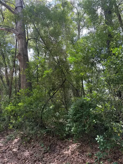 tbd SW 76th Ave, Ocala, FL 34476 photo 3