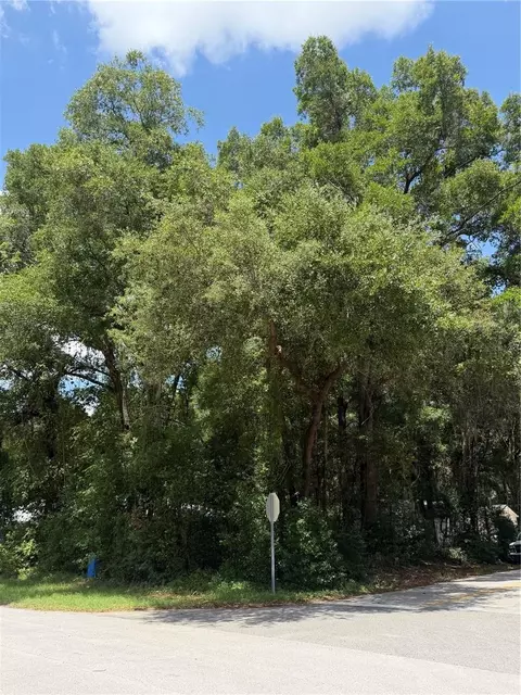 tbd SW 76th Ave, Ocala, FL 34476 photo 4