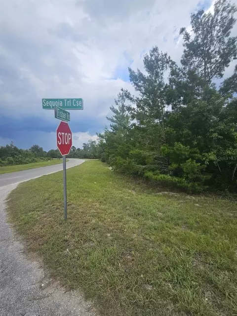0 Fisher Rd, Ocklawaha, FL 32179