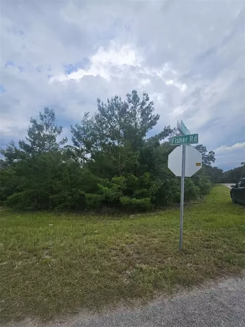 lot1 Fisher Rd, Ocklawaha, FL 32179
