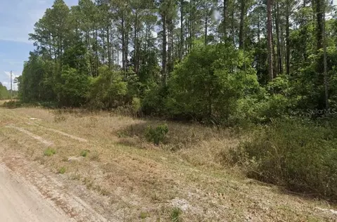 136 Shorewood St, Georgetown, FL 32139 photo 4