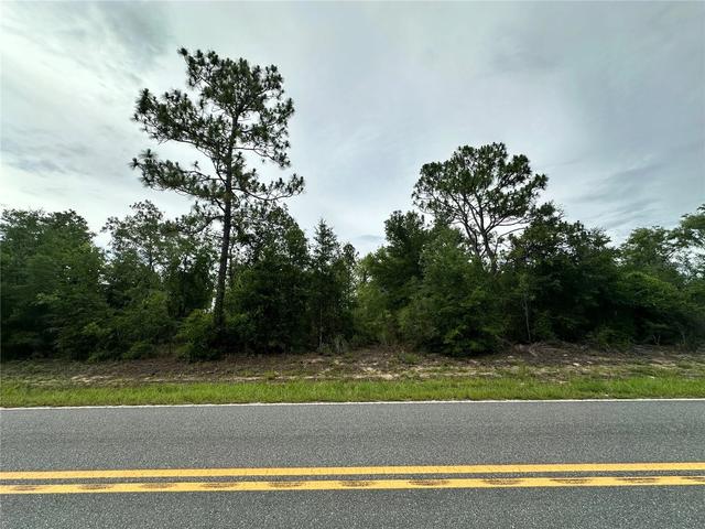 9191 NE 80th St, Bronson, FL 32621