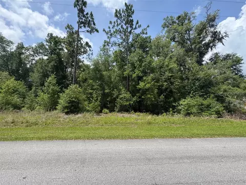 tbd SW 59 Ln, Dunnellon, FL 34431