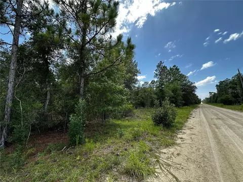 12930 NE 15th St, Williston, FL 32696 photo 7