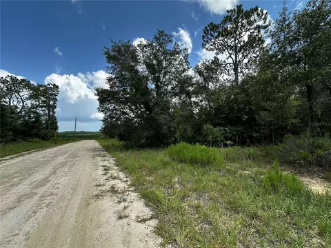 12930 NE 15th St, Williston, FL 32696 photo 5
