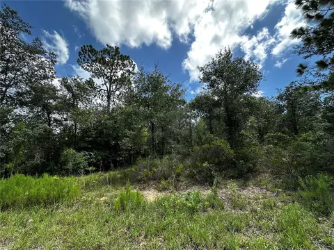 12930 NE 15th St, Williston, FL 32696 photo 4