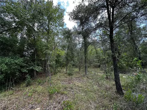 12930 NE 15th St, Williston, FL 32696 photo 6