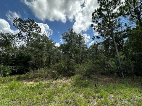 12930 NE 15th St, Williston, FL 32696 photo 3