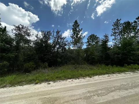 12930 NE 15th St, Williston, FL 32696 photo 9